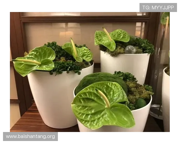 葡京国际娱乐城带你体验奢华娱乐新体验，尽享极致博彩乐趣